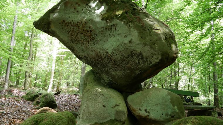 Ein großer, schwebender Felsen steht auf kleineren Steinen im Wald. Umgeben von grünem Laub und Bäumen vermittelt die Szene einen ruhigen Natureindruck.