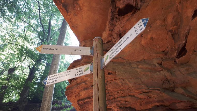 Un panneau en bois avec plusieurs flèches de direction est situé dans une forêt. L'environnement a une atmosphère naturelle et verte avec des rochers en arrière-plan.