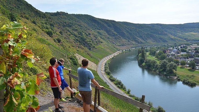 Een groep van vier personen staat op een uitkijkpunt en bewondert het landschap. Op de voorgrond zijn wijnranken en op de achtergrond stroomt een rustige rivier tussen zachte heuvels.