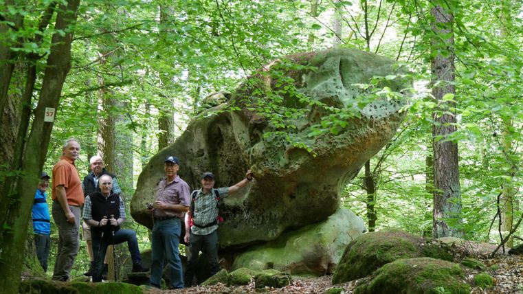 Gruppe von Wanderern steht um einen großen Felsen im Wald. Die Umgebung ist grün und bewaldet, mit vielen Bäumen.