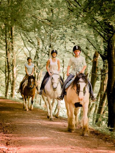 Drie ruiters rijden op een bosweg. De bomen om hen heen zijn groen en de sfeer is vredig.