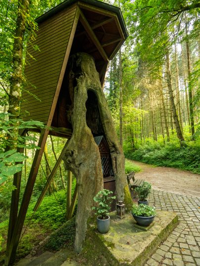 Ein Holzhaus steht auf einer Baumwurzel im Wald. Umgeben von grünen Pflanzen und einem gepflasterten Weg.