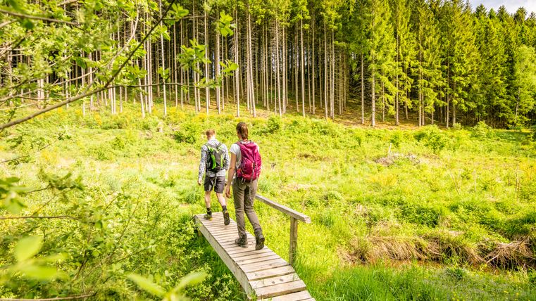 Zwei Wanderer auf einem Holzsteg im Wald.