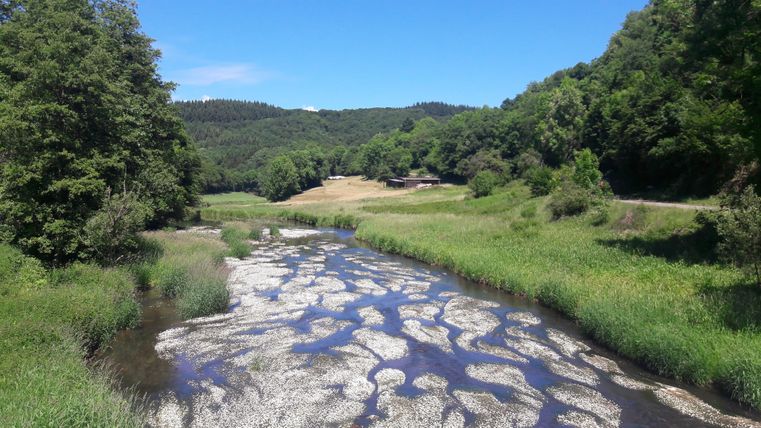 A calm river flows through a green landscape with dense vegetation. In the background, hills and a blue sky are visible.