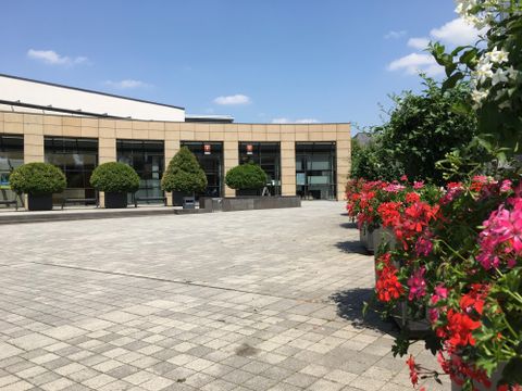 Ein schöner Außenbereich mit blühenden Pflanzen und großen Grünflächen. Im Hintergrund ist ein modernes Gebäude unter klarem Himmel zu sehen.