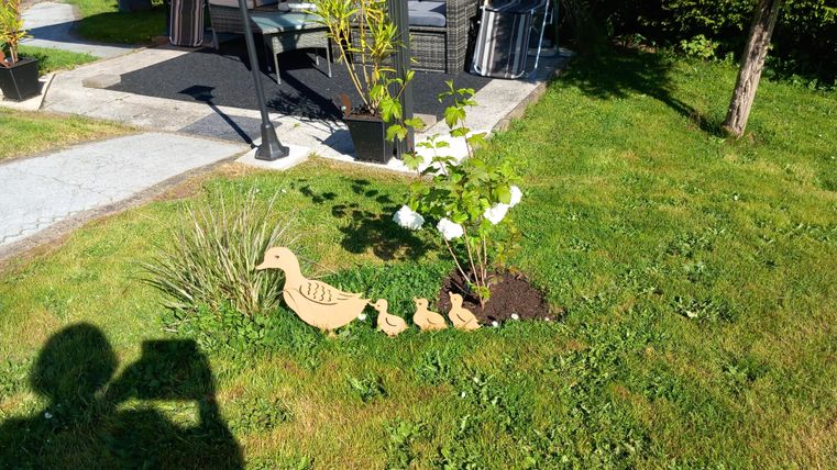 A well-kept garden with a group of wooden carved ducks and a small tree. In the background, furniture can be seen on a terrace.