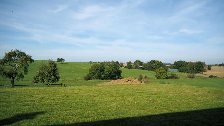 Eine grüne Wiese mit sanften Hügeln und vereinzelten Bäumen. Der Himmel ist klar und blau, ideal für einen ruhigen Tag in der Natur.