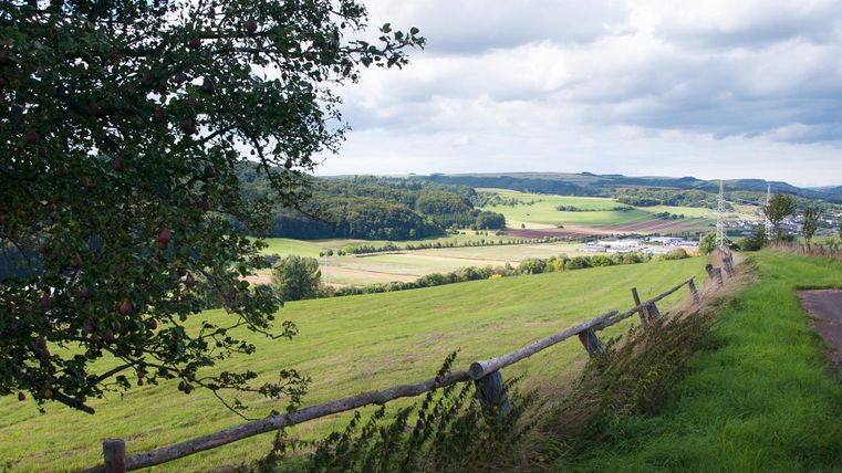 Landschap met groene velden, bomen en een hek op de voorgrond, uitzicht op Mettendorf.