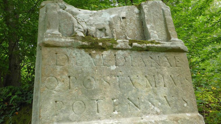 Eine alte Steinsäule mit Inschriften aus einer vergangenen Epoche. Umgeben von grünen Bäumen und natürlicher Vegetation.