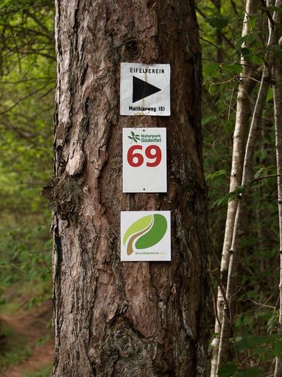 A tree in the forest with several signs. The signs show hiking trails and information about the Eifel Association.