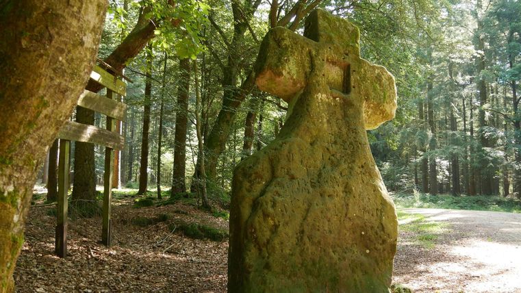 Ein großer, moosbedeckter Stein in Form eines Kreuzes steht im Wald. Die Umgebung ist grün und sonnig, mit einem schmalen Weg, der durch den Wald führt.