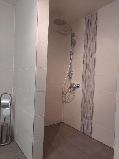 A modern shower with a rain shower head and decorative tiles. The room is bright and clean designed.