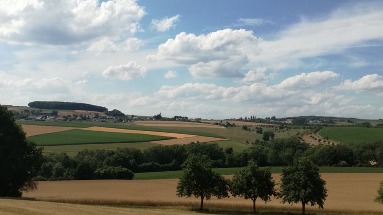 Landschaft mit Feldern, Bäumen und blauem Himmel mit Wolken.