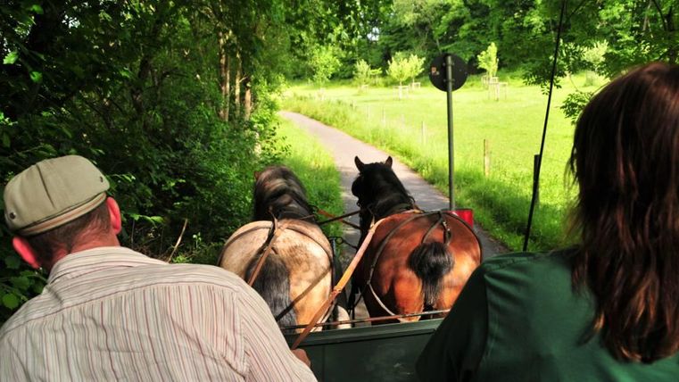 Een paardenkoets rijdt door een groene landschap. Op de voorgrond zijn twee mensen te zien die van het uitzicht genieten.