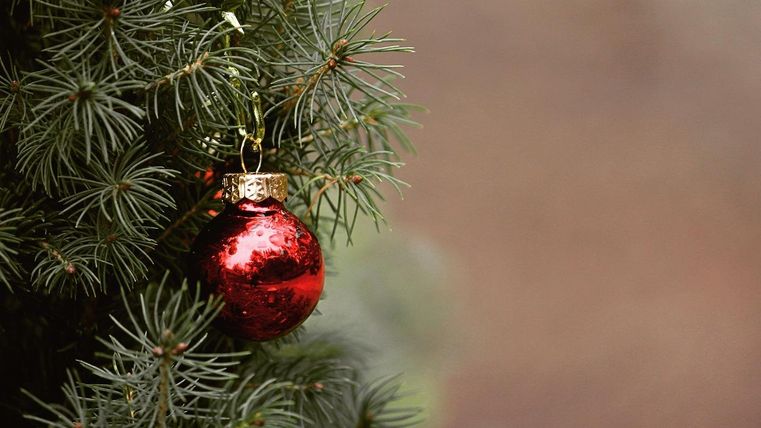 Ein schöner roter Weihnachtsbaumkugel hängt an einem grünen Nadelbaum. Die Stimmung ist festlich und einladend.