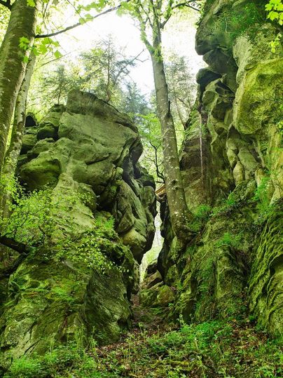 A narrow gorge surrounded by tall, moss-covered rocks and green trees. Light floods through the branches, creating a peaceful atmosphere.