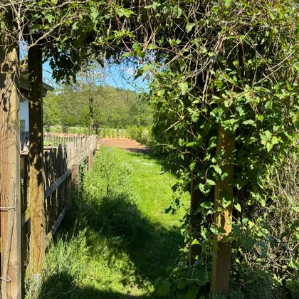 Un joli chemin de jardin, encadré par un portail verdoyant. En arrière-plan, on peut voir de douces collines et des prairies.