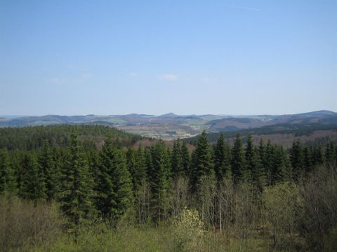 Un paysage avec de denses coniferes au premier plan. À l'arrière-plan, de douces collines s'étendent sous un ciel bleu clair.