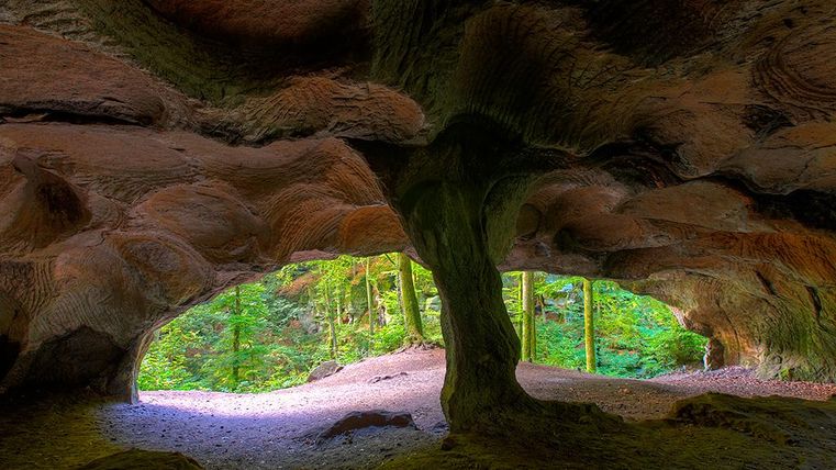 Ein schöner Höhleneingang mit texturierten Wänden. Draußen ist ein Wald mit üppigem Grün und sanftem Licht zu sehen.