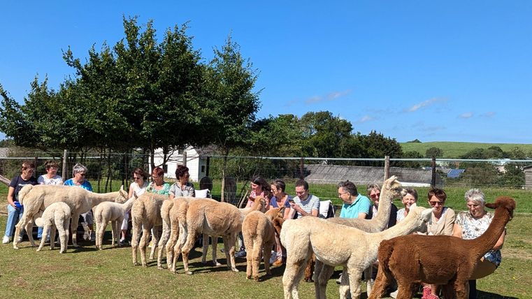 Een groep mensen zit op een grasveld, omringd door alpaca's. De lucht is helder en blauw, terwijl bomen op de achtergrond zichtbaar zijn.