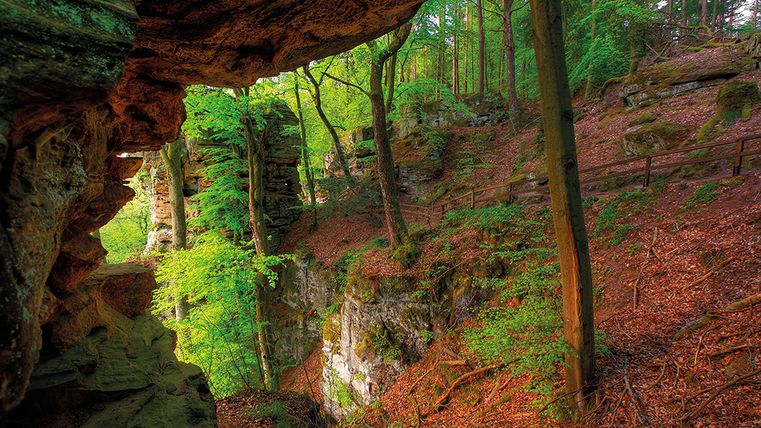 Premiumweg Felsenweg 6