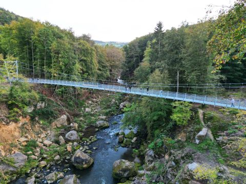 Luftaufnahme der Hängebrücke über die Irreler Wasserfälle