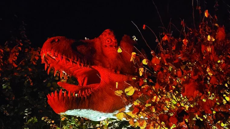 Ein Dinosaurierkopf aus Plastik leuchtet rot in der Dunkelheit. Um ihn herum sind bunte Blätter und Lichtakzente sichtbar.