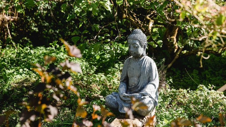 Eine Statue von Buddha sitzt inmitten von grünen Pflanzen. Die ruhige Atmosphäre lädt zur Meditation ein.