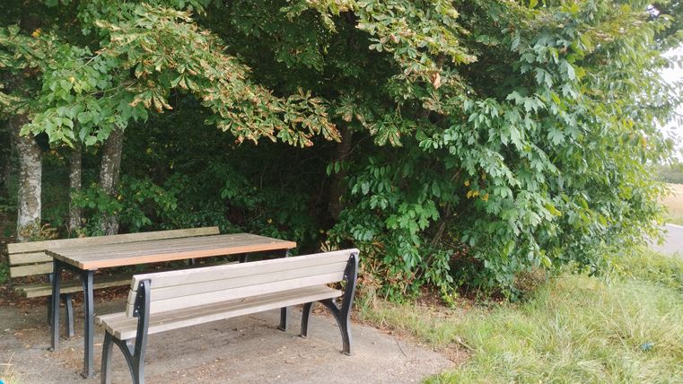 Ein Rastplatz mit Holztisch und Bänken unter Bäumen, umgeben von dichtem Grün.