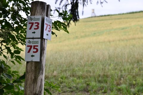 Wegweiser im Naturpark Südeifel mit den Nummern 73 und 75, im Hintergrund ein Feld und ein Hochsitz.