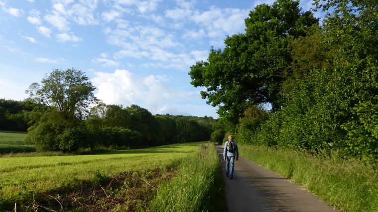 Eine Person geht auf einem ländlichen Weg, umgeben von grünen Bäumen und Wiesen, unter einem blauen Himmel mit Wolken.