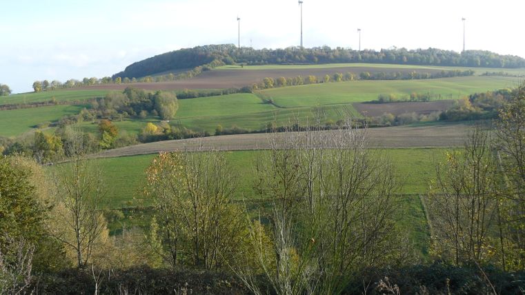 Paysage avec des champs verts et des éoliennes sur une colline.