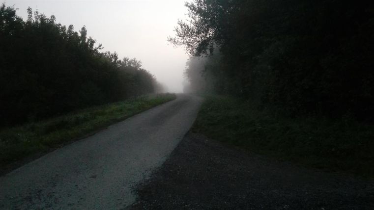 Un chemin calme, entouré d'arbres et de brouillard. L'atmosphère est mystique et accueillante.