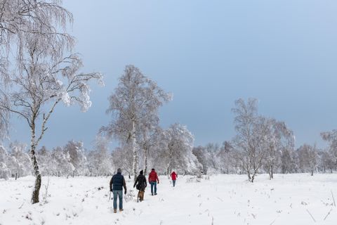 Eine Gruppe von Menschen geht durch eine verschneite Winterlandschaft. Die Bäume sind mit Schnee bedeckt und der Himmel ist grau-blau.