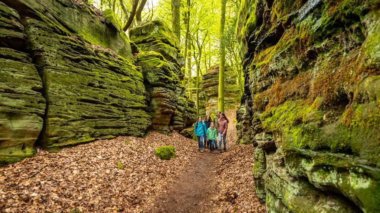 Familie wandert durch moosbewachsene Felsen im Schluchtenwald bei Bollendorf.