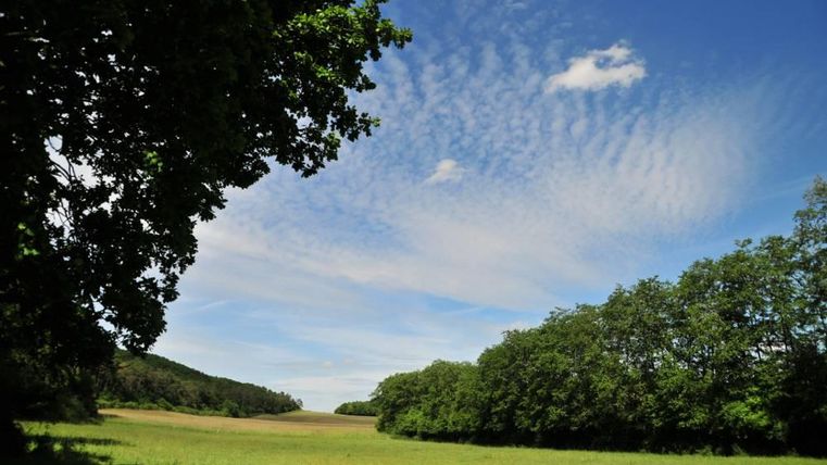 Een uitgestrekt veld onder een blauwe lucht met wolken. Aan de linkerkant staan bomen en op de achtergrond zijn zachte heuvels te zien.