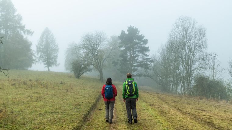 Zwei Wanderer gehen auf einem schmalen Weg durch eine neblige Landschaft. Umgeben von Bäumen und grasbewachsenen Feldern ist die Atmosphäre ruhig und geheimnisvoll.