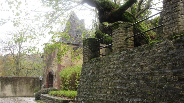 Eine alte Steinmauer mit grünem Bewuchs und einem Baum in der Nähe. Im Hintergrund ist ein historisches Gebäude zu sehen.
