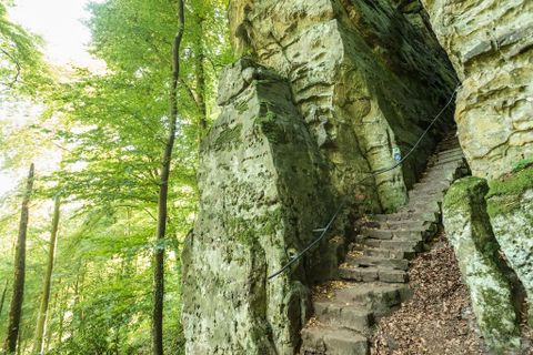 Steintreppe in einer bewaldeten Schlucht mit moosbewachsenen Felsen.