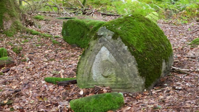 Ein moosbedeckter Stein in einem Waldgebiet. Die Umgebung ist mit Laub und grünen Pflanzen bedeckt.