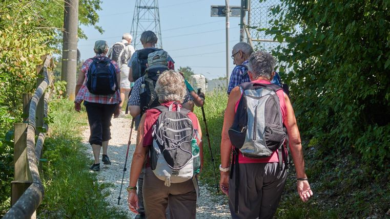 Eine Gruppe von Wanderern geht einen schmalen Weg entlang. Umgeben von Natur und Bäumen, genießen sie die frische Luft.
