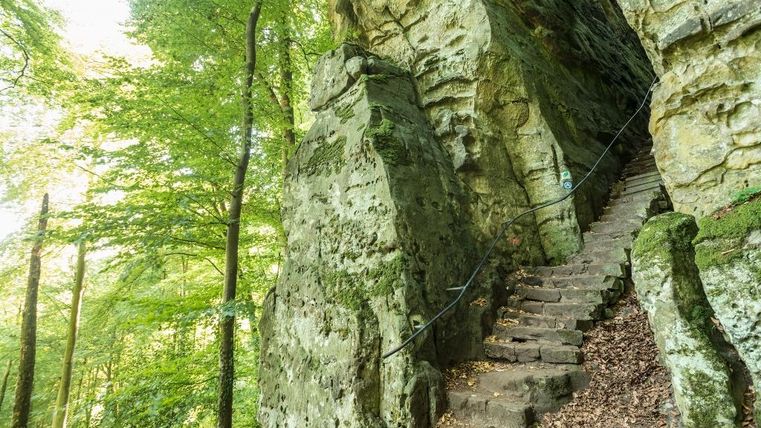 Steintreppe in einer bewaldeten Schlucht mit moosbewachsenen Felsen.