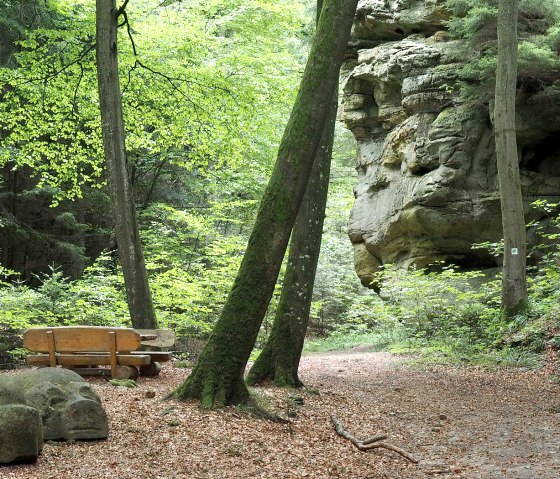 Ein Waldweg mit einer Holzbank und einer großen Felsformation im Hintergrund. Der Boden ist mit Laub bedeckt, umgeben von hohen Bäumen., © Volker Teuschler