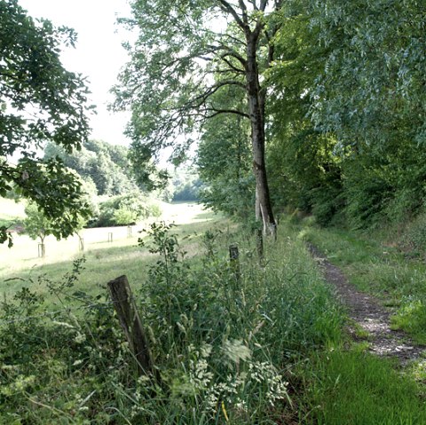 In the Lammbach Valley, © V. Teuschler
