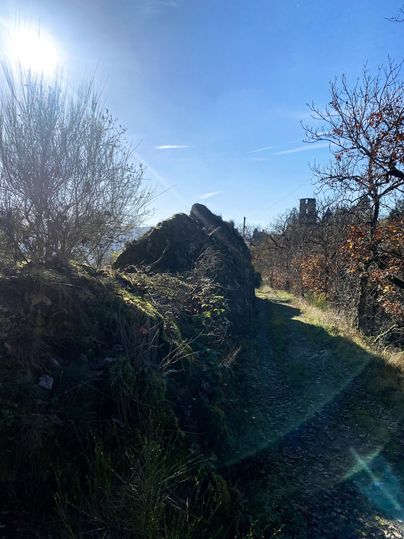 Ein schmaler Weg, umgeben von Bäumen und Sträuchern, führt durch eine sonnige Landschaft. Auf der Seite liegt ein großer Felsen, der die natürliche Umgebung ergänzt.