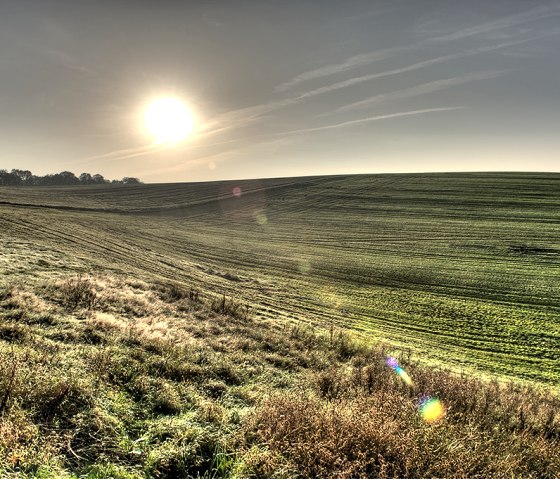 Sonnenuntergang über einer weiten, grünen Landschaft mit sanften Hügeln und Bäumen am Horizont., © Naturpark Südeifel, P. Haas