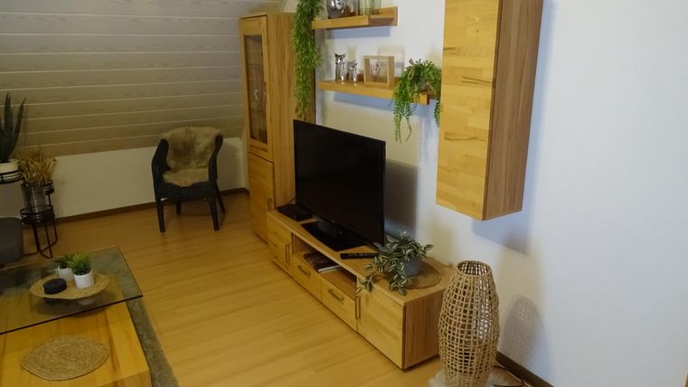 Un espace de vie confortable avec des étagères en bois et une télévision. Le sol est en bois et il y a quelques plantes pour une atmosphère accueillante.