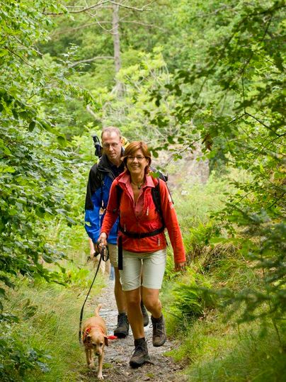 Een stel wandelt over een pad door een groene bos. Ze hebben een hond bij zich en genieten van de natuur.