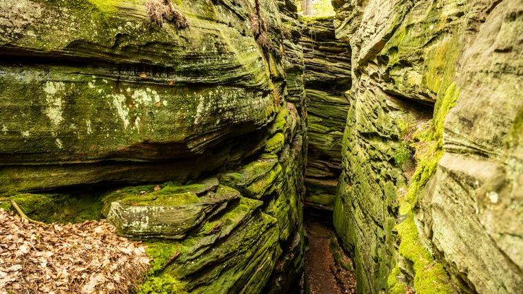 Schmale, moosbedeckte Felsenschlucht mit Laub am Boden.