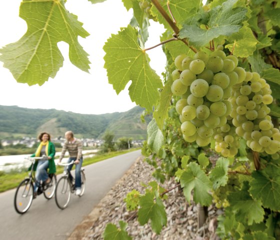 Cyclists on the Moselle cycle path, © Dominik Ketz Fotografie / Rheinland-Pfalz Tourismus GmbH